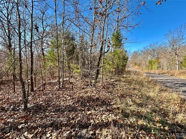 $31,900 | 12-17 County Road 4253, Salem, MO 65560