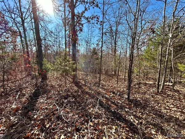 $31,900 | 12-17 County Road 4253, Salem, MO 65560