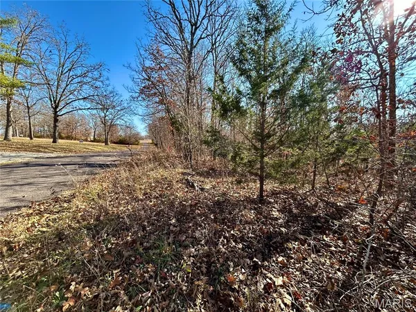 $31,900 | 12-17 County Road 4253, Salem, MO 65560