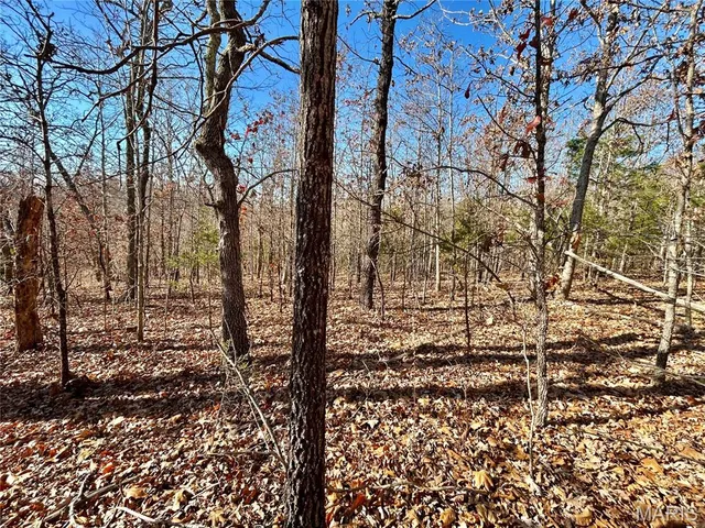 $34,900 | 12-17 County Road 4253, Salem, MO 65560