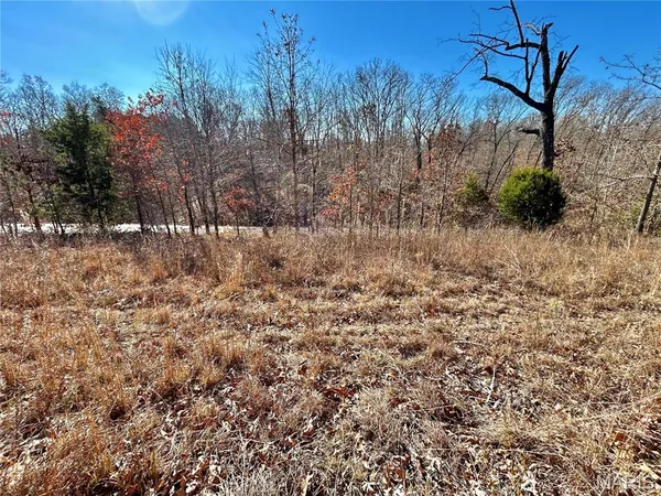 $31,900 | 12-17 County Road 4253, Salem, MO 65560