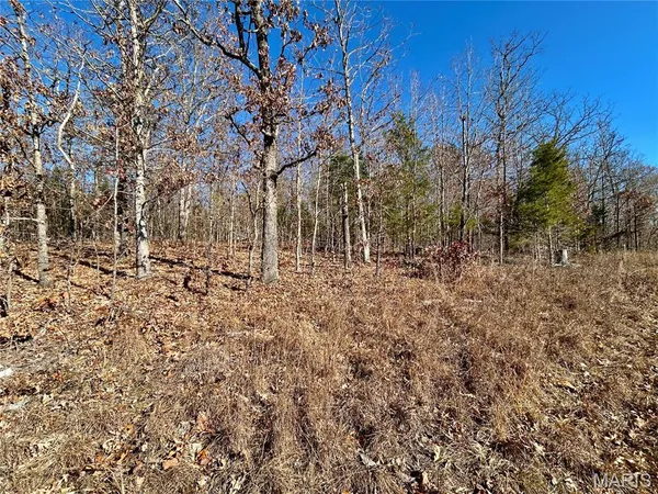 $31,900 | 12-17 County Road 4253, Salem, MO 65560