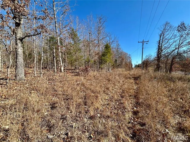 $34,900 | 12-17 County Road 4253, Salem, MO 65560