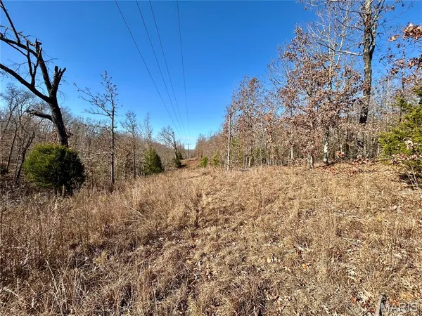 $31,900 | 12-17 County Road 4253, Salem, MO 65560