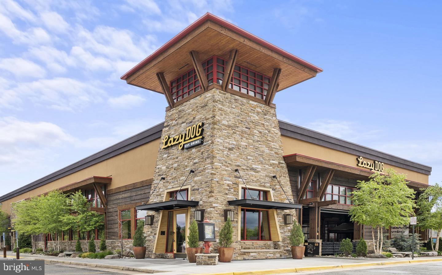 14190 Gypsum Loop Chantilly, VA 20151 - Photo 27 of 38 Lazy Dog Restaurant in Field at Commonwealth Plaza