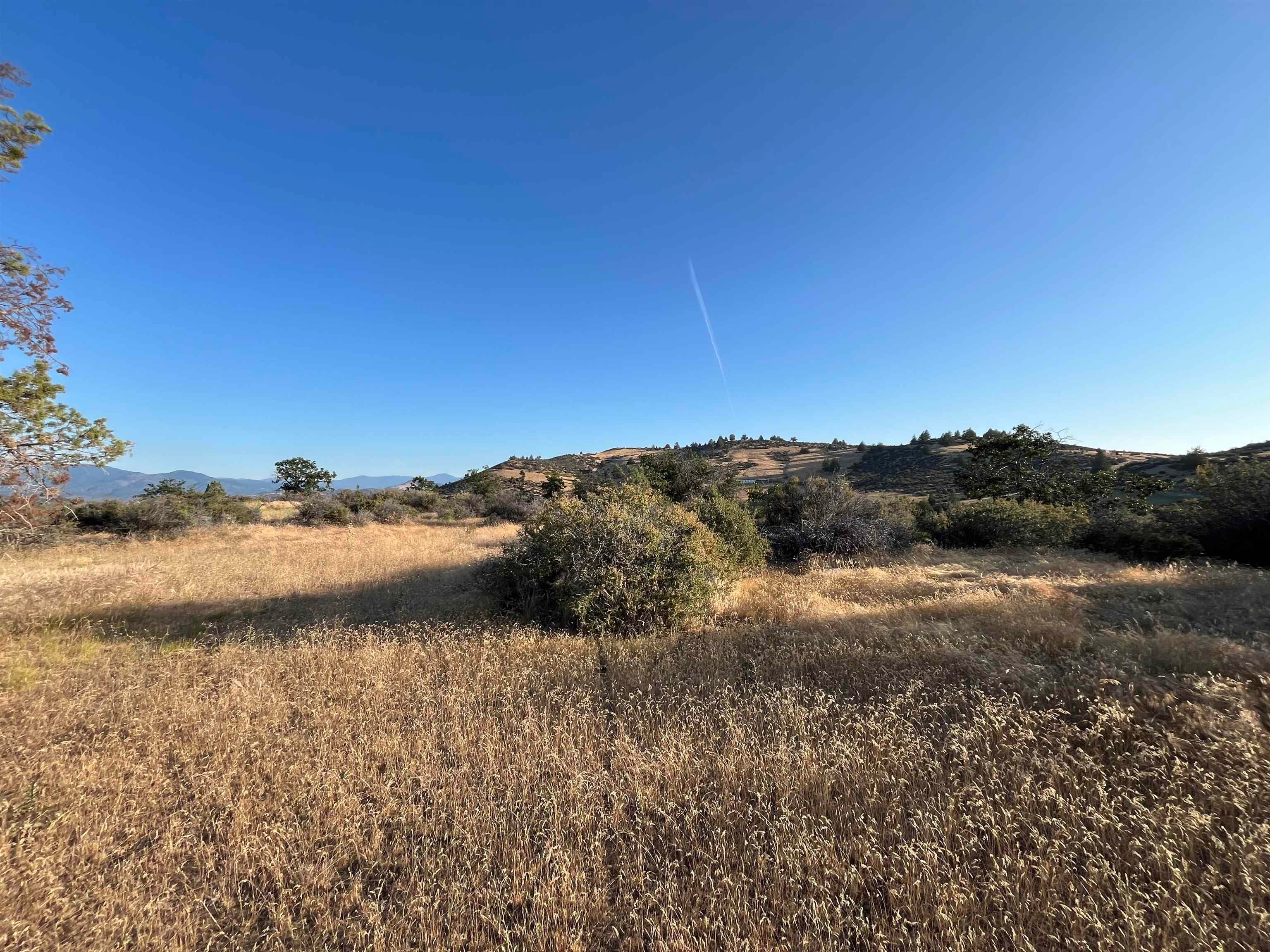 61 Whitepine Road Hornbrook, CA 96044 - Photo 1 of 5 Gallery Image 1