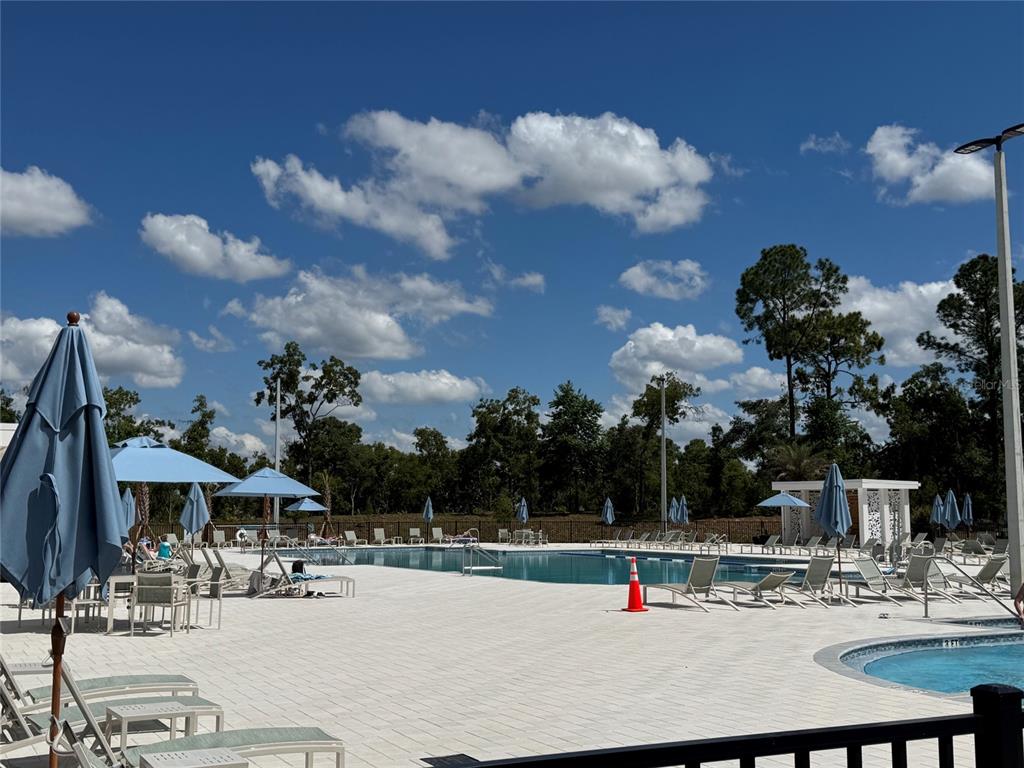 8722 Southwest 83rd Loop Ocala, FL 34481 - Photo 47 of 62