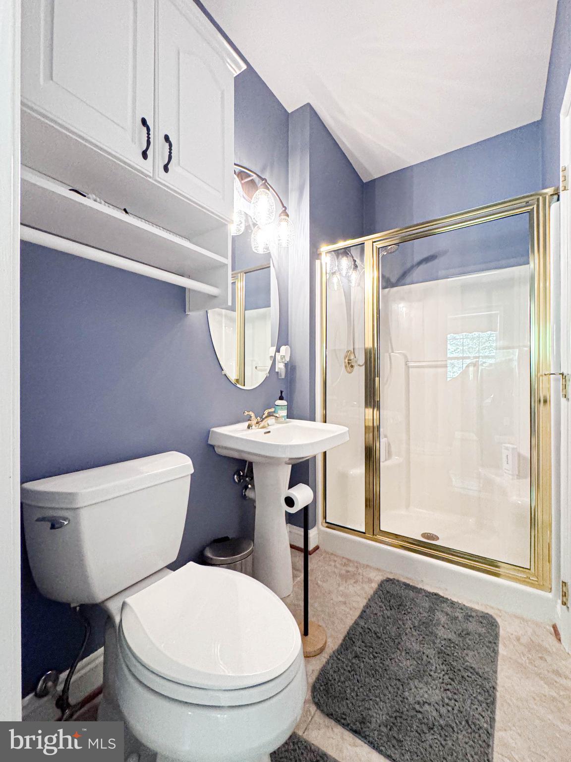 11325 Ingels Court Swan Point, MD 20645 - Photo 44 of 118 a bathroom with a toilet a sink and a mirror