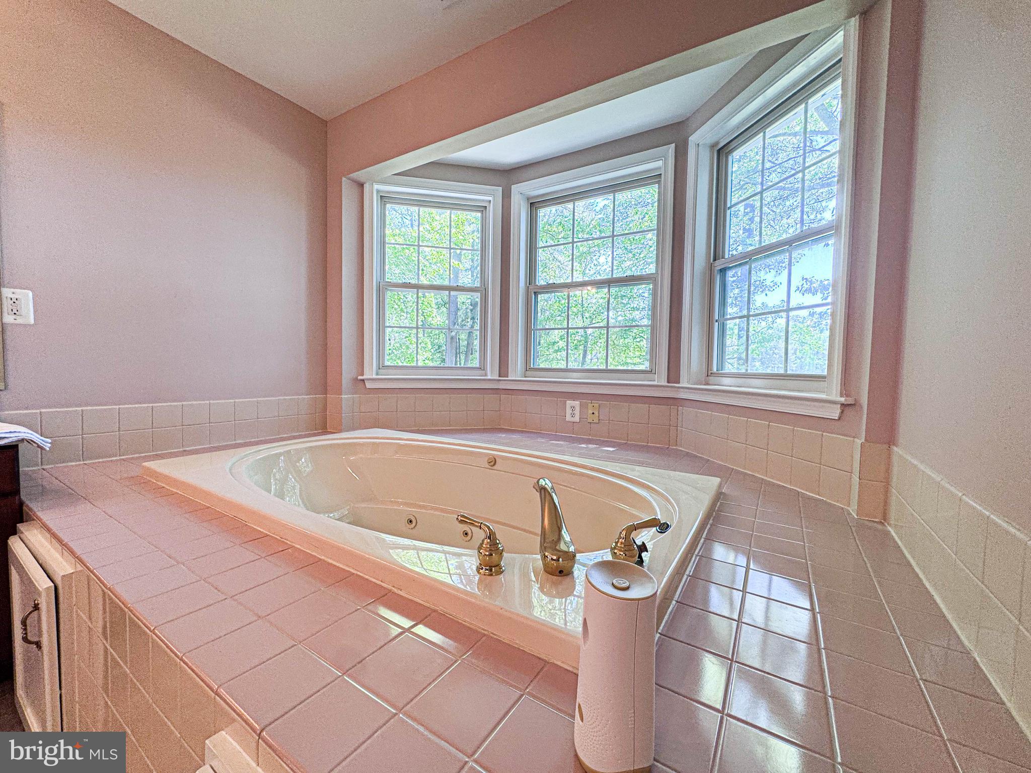 11325 Ingels Court Swan Point, MD 20645 - Photo 90 of 118 a bath tub sitting in a bathroom next to a window