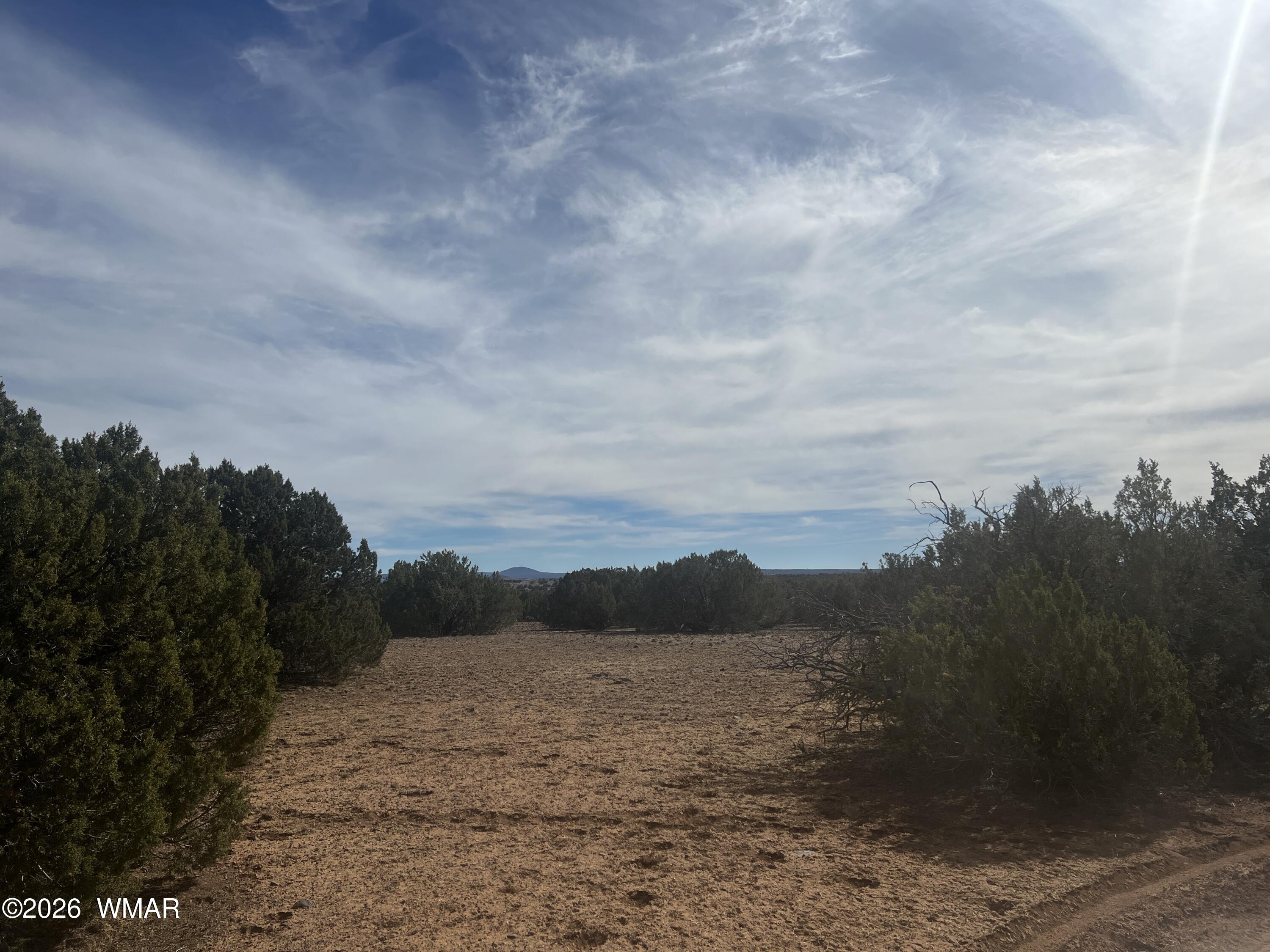 8526 Lake Ridge Road Show Low, AZ 85901 - Photo 5 of 10 Lake Ridge-5