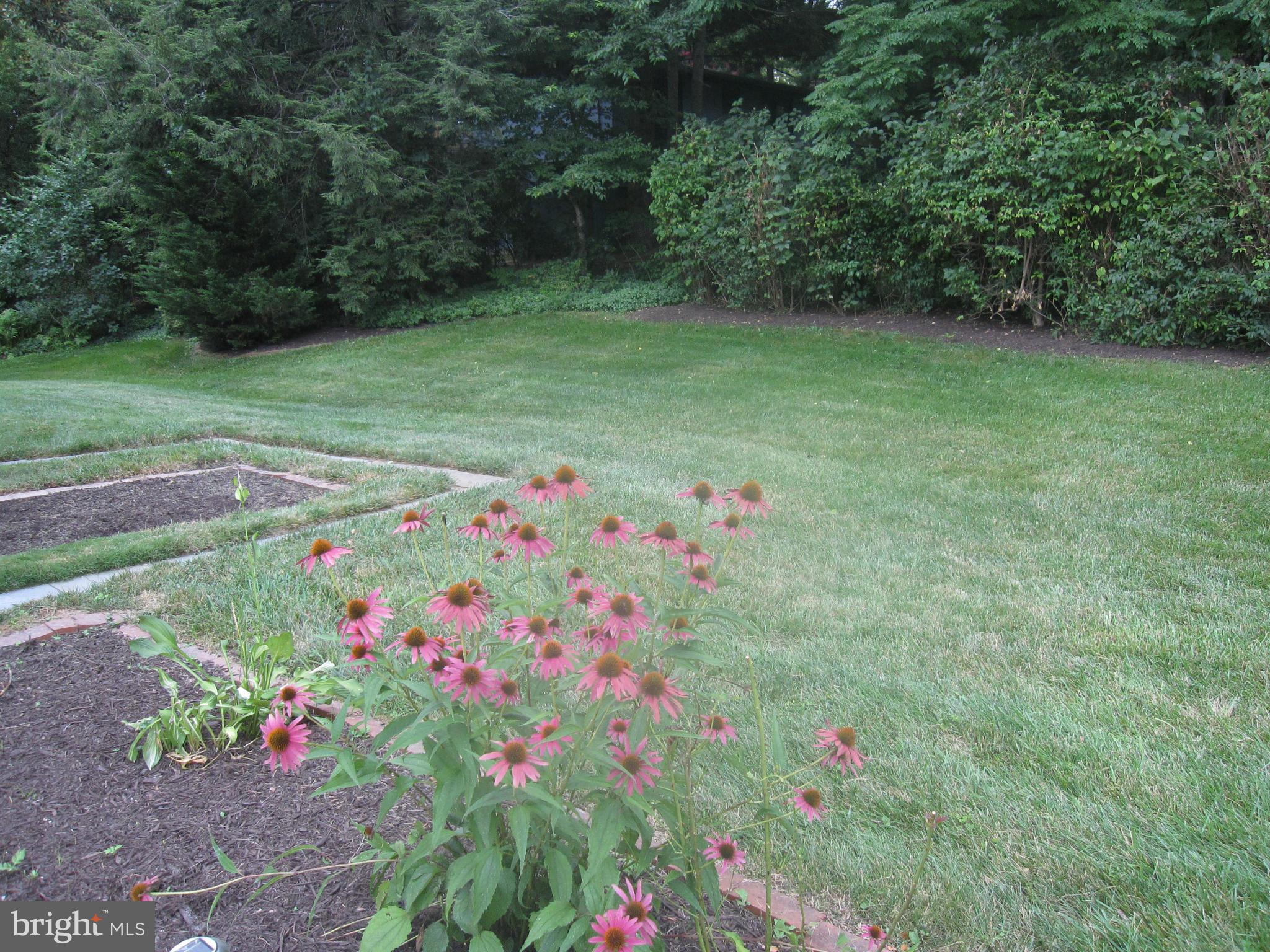 6653 Old Chesterbrook Road McLean, VA 22101 - Photo 28 of 30 Backyard