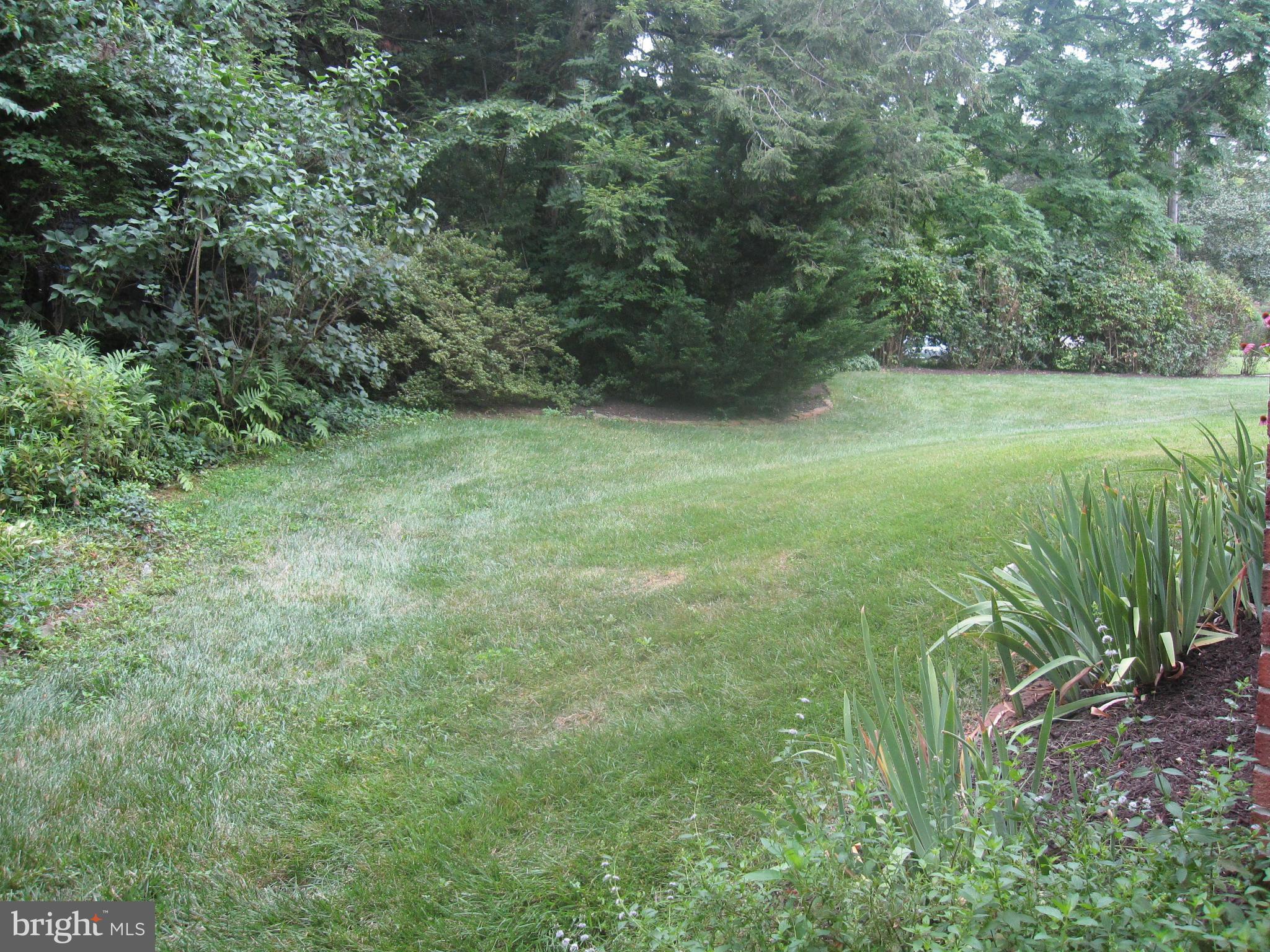 6653 Old Chesterbrook Road McLean, VA 22101 - Photo 29 of 30 Backyard