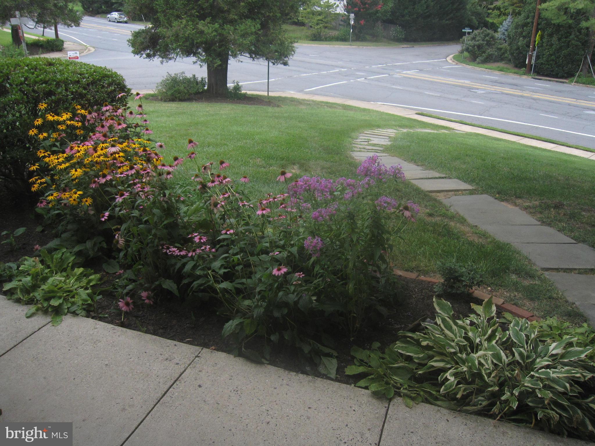 View from Dining Room