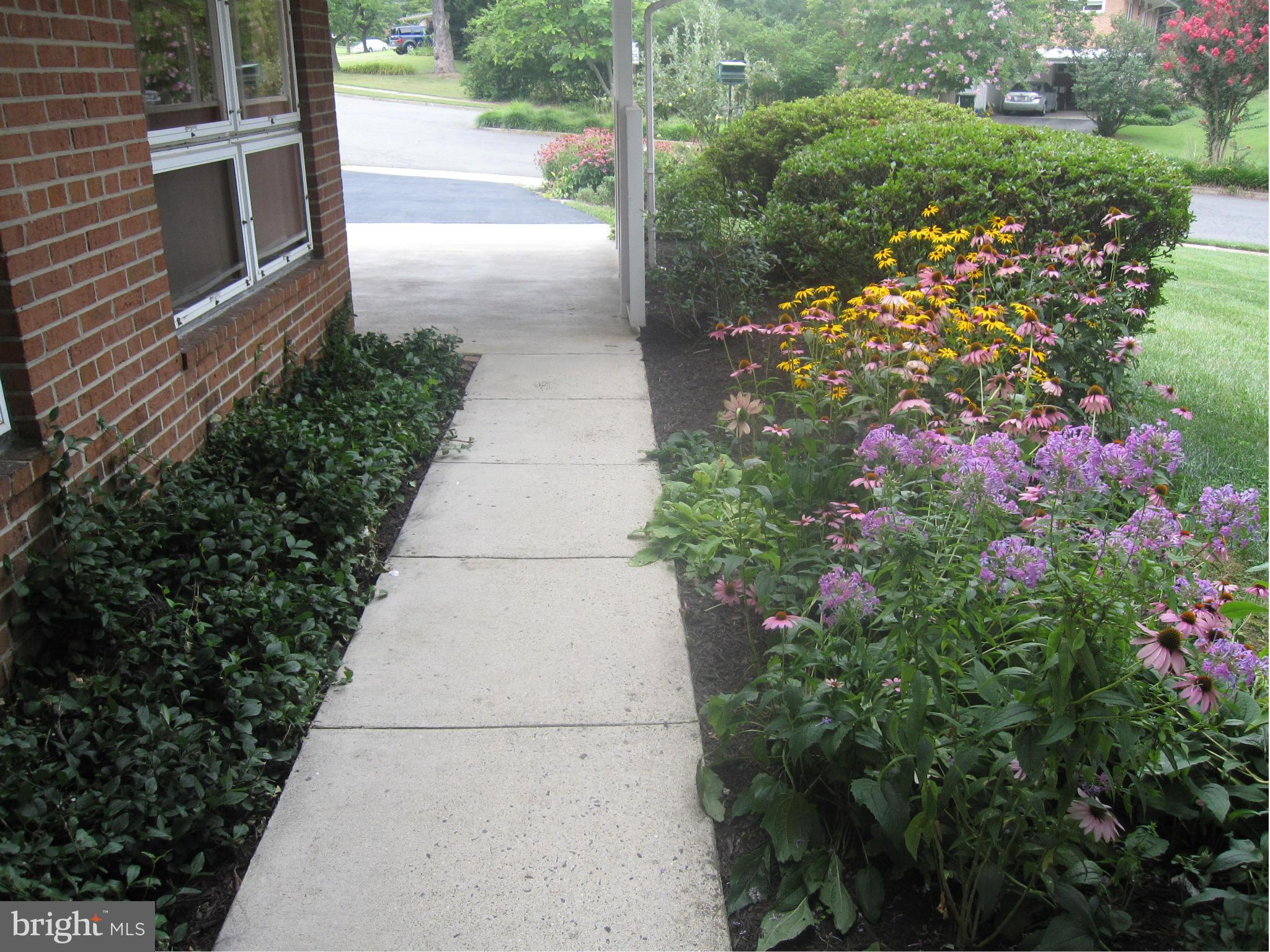 6653 Old Chesterbrook Road McLean, VA 22101 - Photo 8 of 30 Walkway from carport to front door