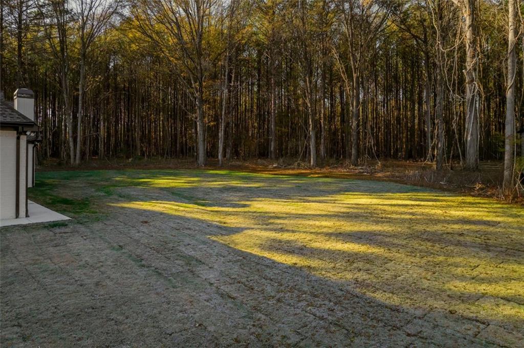 1198 Peters Cemetary Road Monroe, GA 30655 - Photo 58 of 64 a view of a swimming pool with a yard and large trees