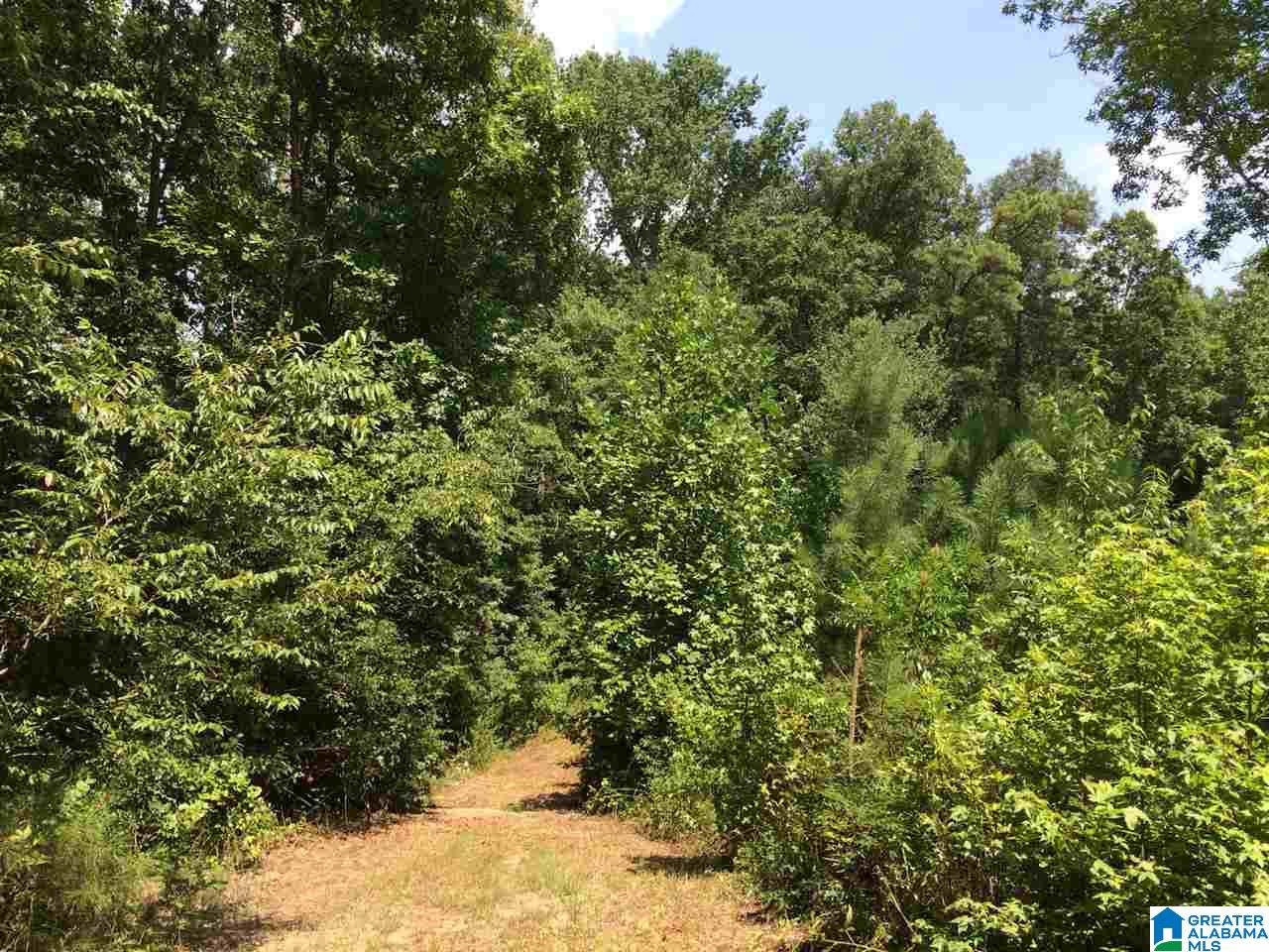 Spunky Hollow Road, Unit 18 7 Oneonta, AL 35121 - Photo 35 of 46
