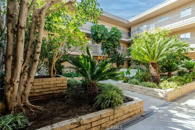 a view of a garden with plants