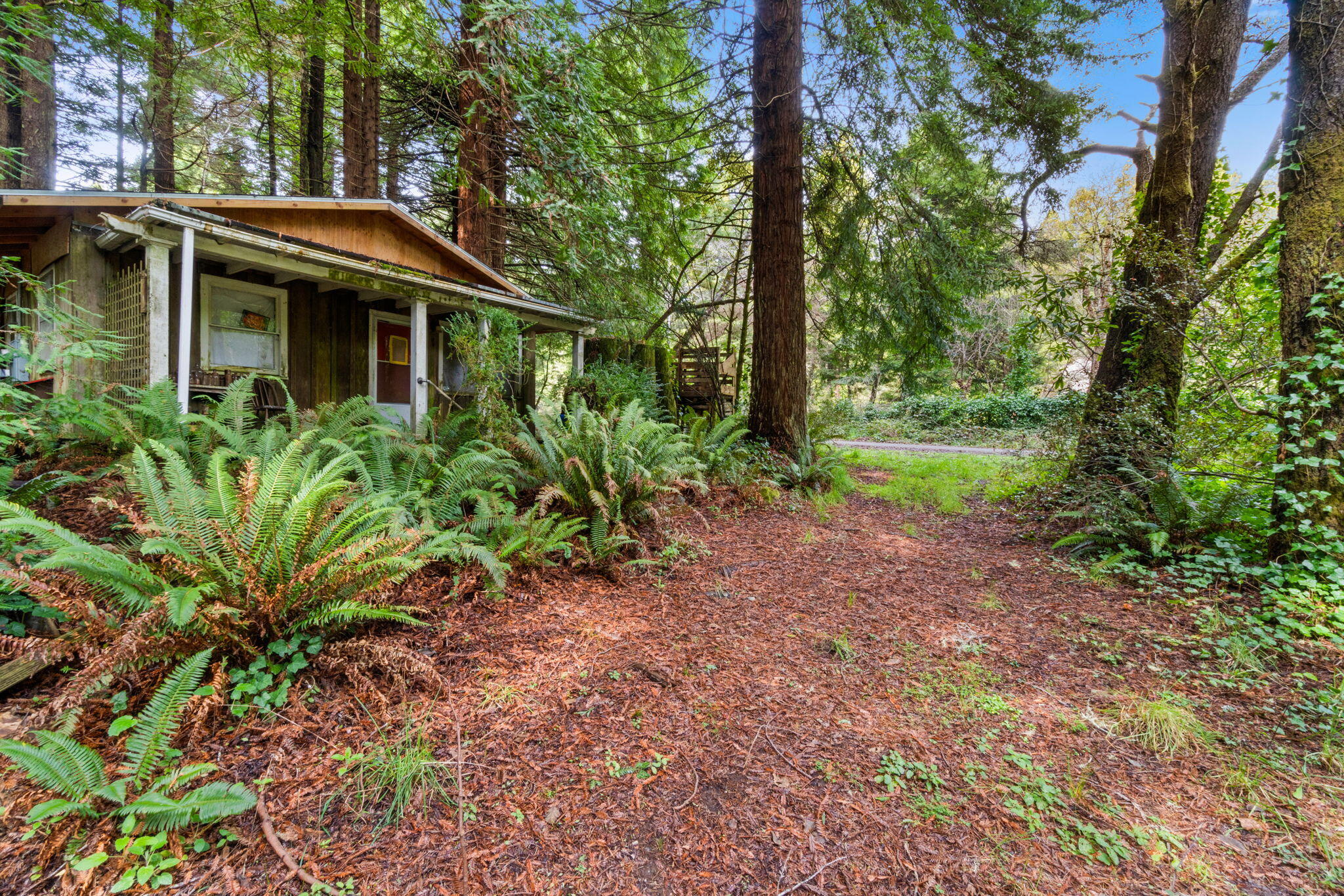 207 Lanford Road Trinidad, CA 95570 - Photo 8 of 16 8-web-or-mls-DSC08266_1