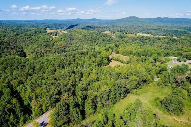 0 Bolestown Loop Alpine, TN 38543 - Photo 16 of 18 a view of a lush green hillside and a houses