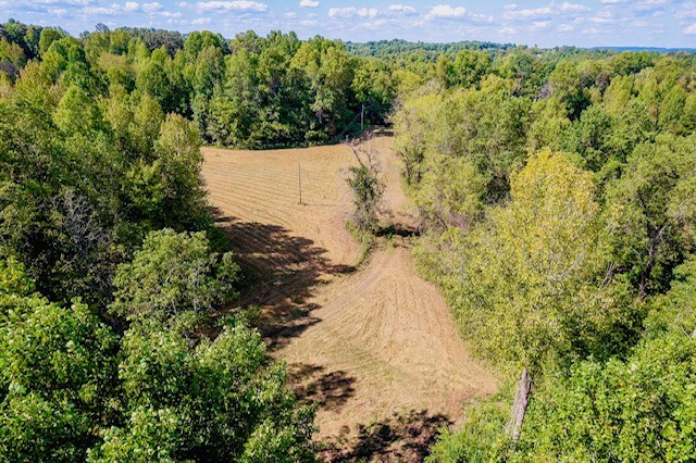 0 Bolestown Loop Alpine, TN 38543 - Photo 18 of 18 a view of a yard with a tree
