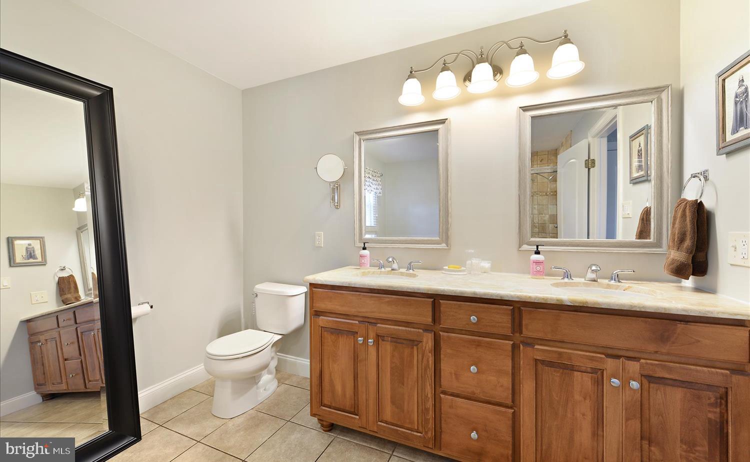 9 Courtleigh Place Reading, PA 19606 - Photo 22 of 35 En Suite Master Bath