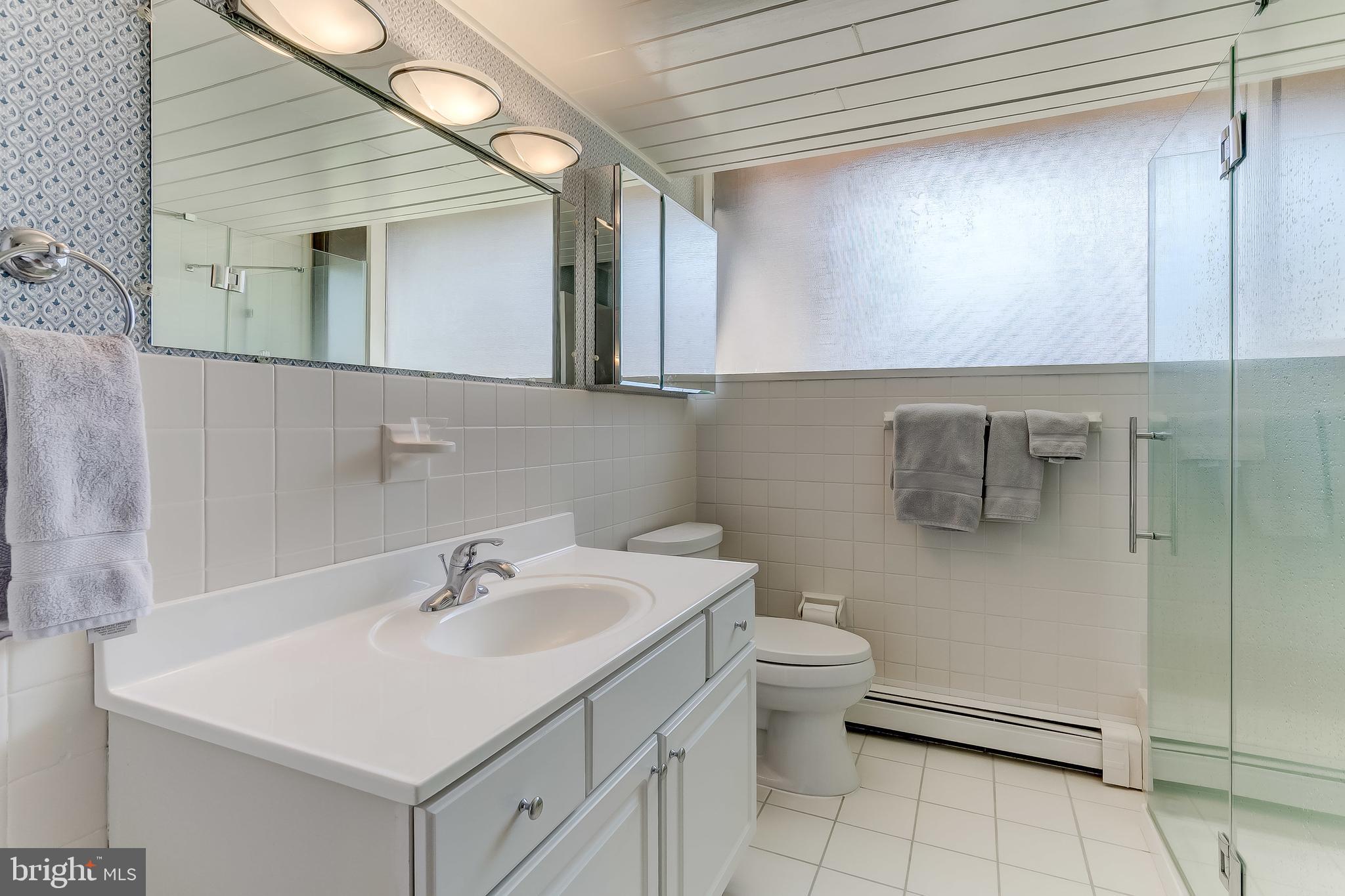 10836 Stevenson Road Stevenson, MD 21153 - Photo 22 of 29 Lower Level Hall Bath