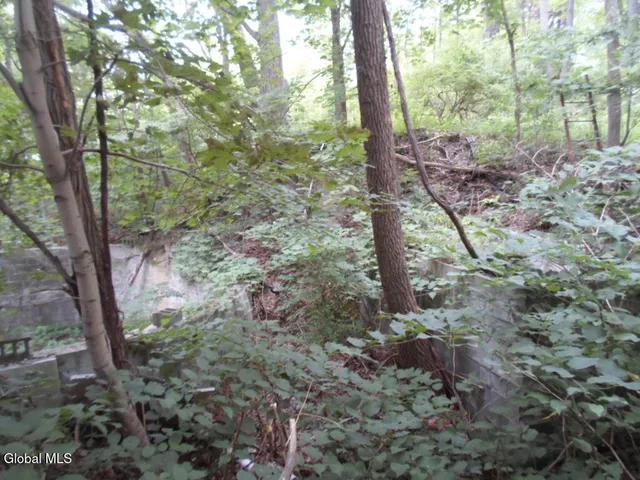 $50,000 | 0 Crawford Road, Rotterdam, NY 12306