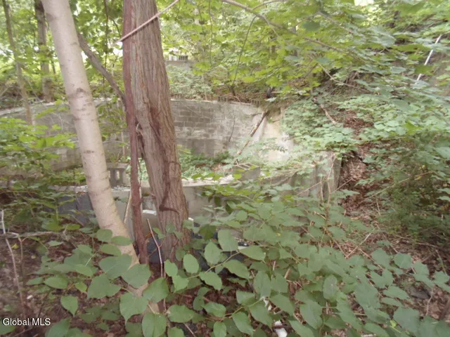 $50,000 | 0 Crawford Road, Rotterdam, NY 12306