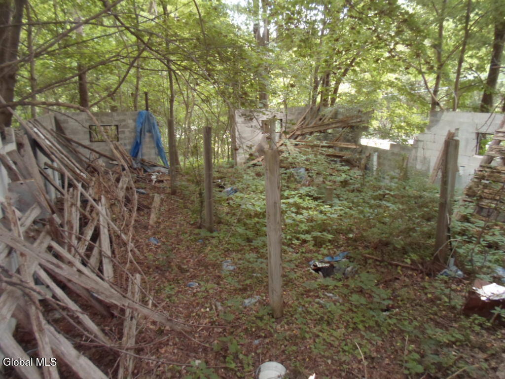 0 Crawford Road Rotterdam, NY 12306 - Photo 16 of 17 SAM_0220