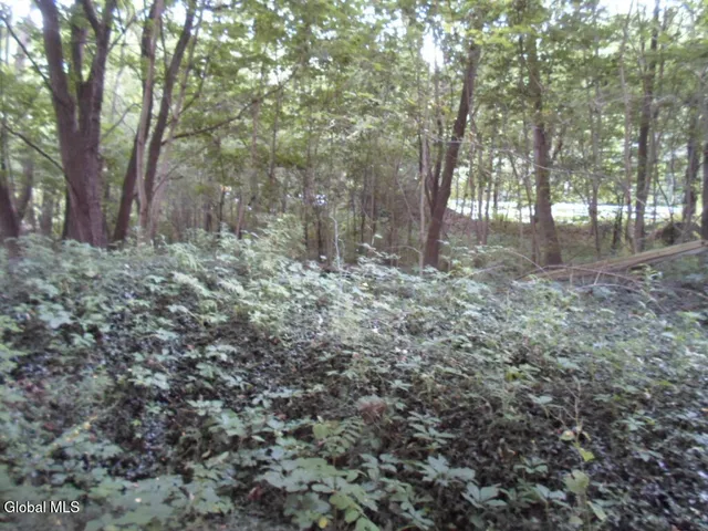 $50,000 | 0 Crawford Road, Rotterdam, NY 12306