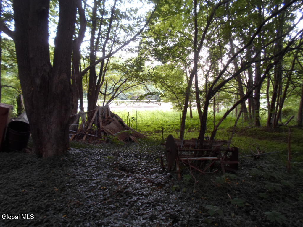 0 Crawford Road Rotterdam, NY 12306 - Photo 9 of 17 SAM_0201