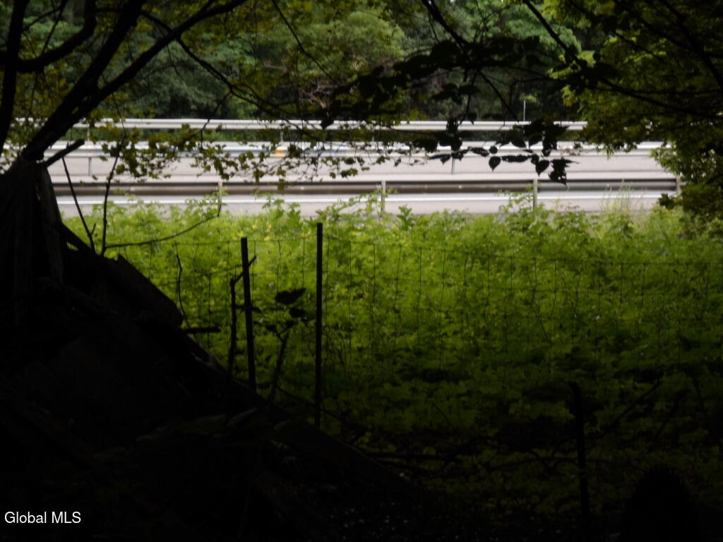 0 Crawford Road Rotterdam, NY 12306 - Photo 10 of 17 SAM_0202