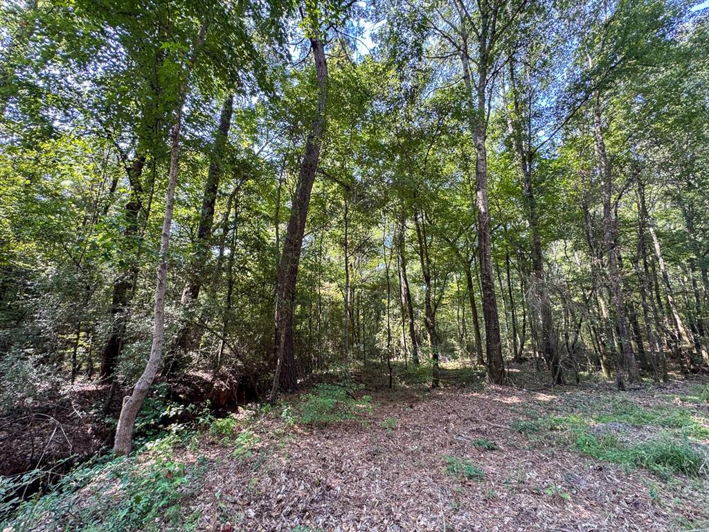 Tbd Sam Booker Road Mansfield, LA 71052 - Photo 11 of 14 a view of outdoor space and green space