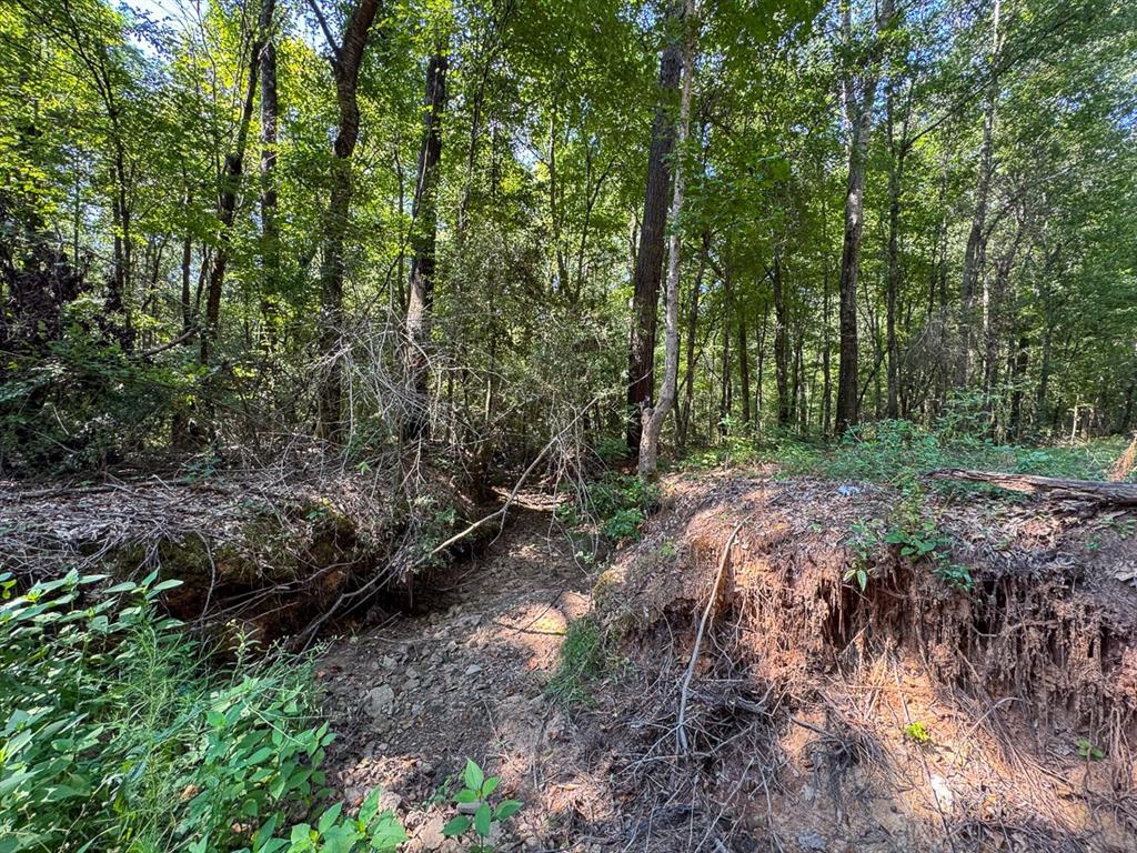 Tbd Sam Booker Road Mansfield, LA 71052 - Photo 12 of 14 a big yard with lots of green space and house