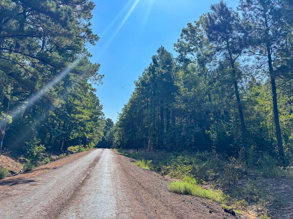 Tbd Sam Booker Road Mansfield, LA 71052 - Photo 14 of 14 a view of a road with trees in the background