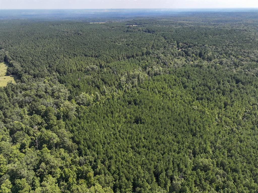 Tbd Sam Booker Road Mansfield, LA 71052 - Photo 2 of 14 a view of a green field with lots of bushes