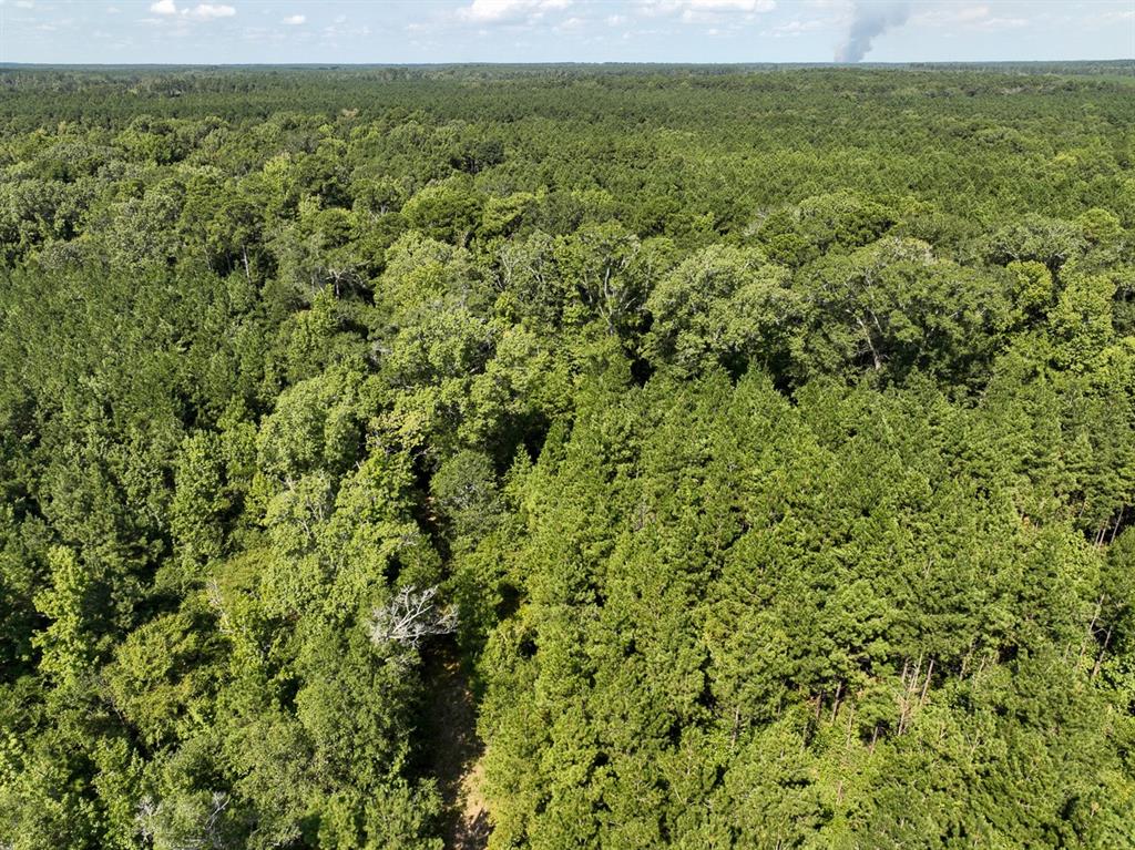 Tbd Sam Booker Road Mansfield, LA 71052 - Photo 3 of 14 a view of a field with an outdoor space