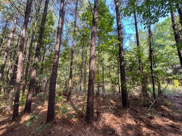 a view of outdoor space and green space
