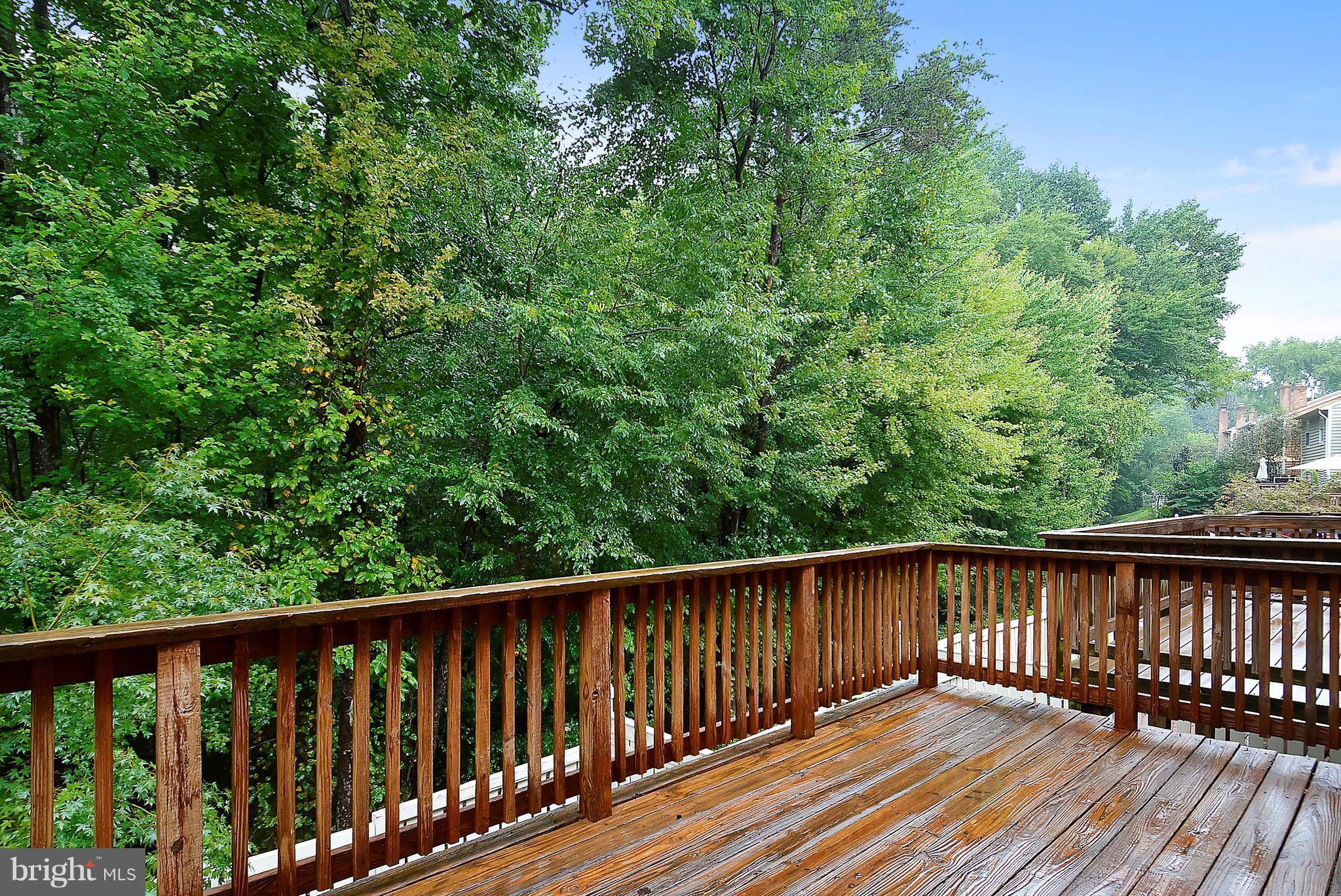 1539 Autumn Ridge Circle Reston, VA 20194 - Photo 22 of 24 Rear Deck