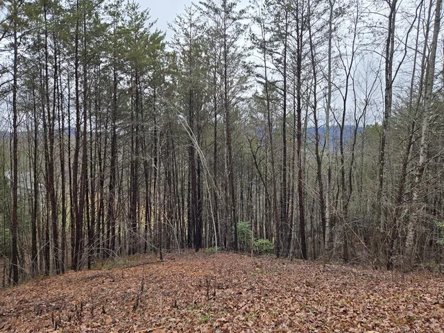 a wooden fence with trees in the background