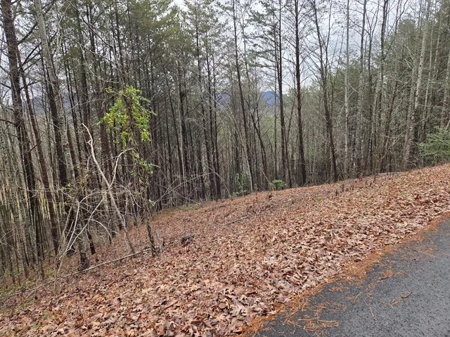 $75,000 | Lot 101 Eagles View Crescent, Hayesville, NC 28904