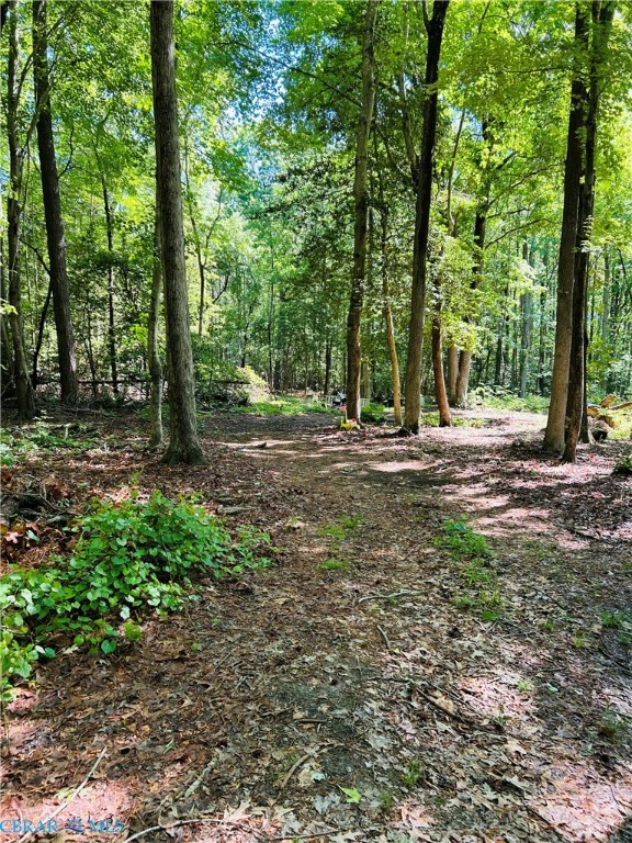 1169 Harris Road Road Kilmarnock, VA 22482 - Photo 4 of 9