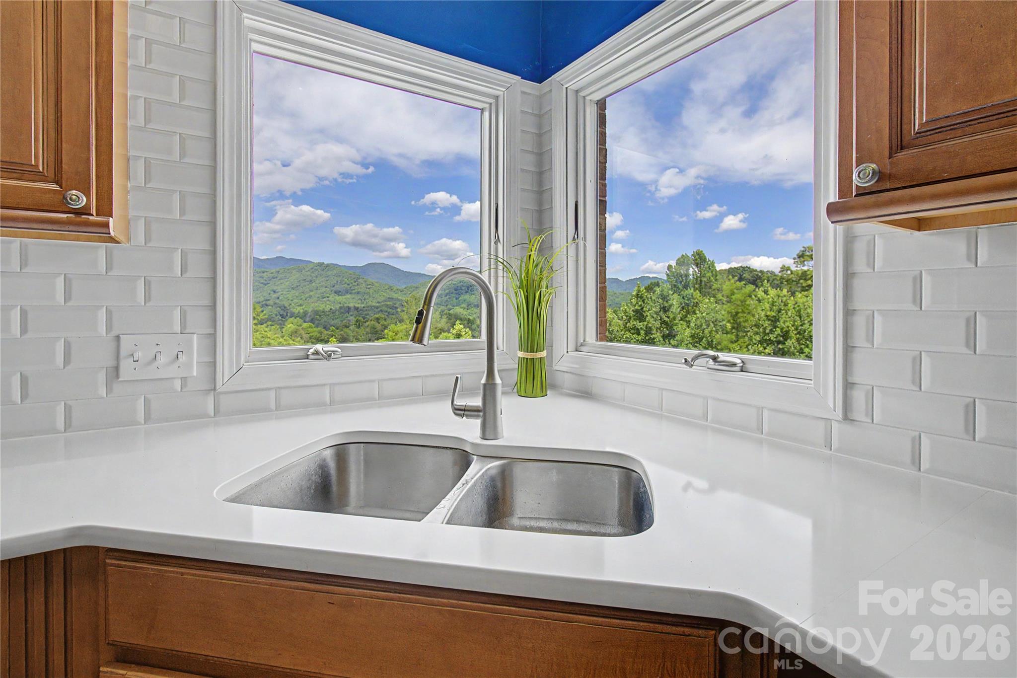 340 Earlys Mountain Road Leicester, NC 28748 - Photo 8 of 29