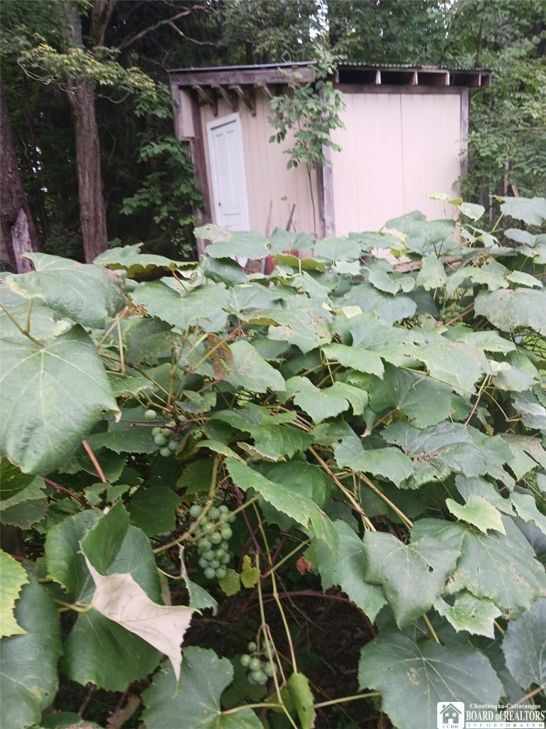 3409 Busti-Stillwater Road Busti, NY 14701 - Photo 22 of 49 Rear shed with grape vines