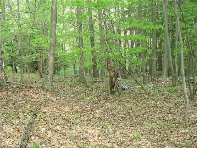 Lot 1 Southbury Road Roxbury, CT 06783 - Photo 1 of 1 a view of a green field with lots of bushes