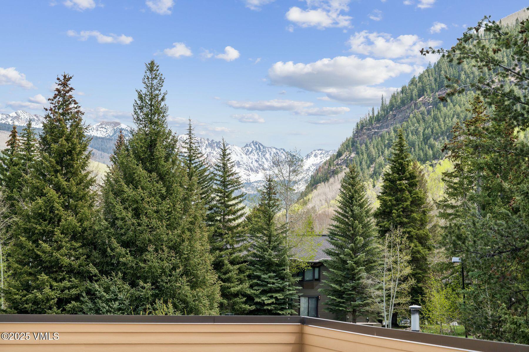 1650 Fall Ridge Road, Unit 120 Vail, CO 81657 - Photo 60 of 60 photo_online_057