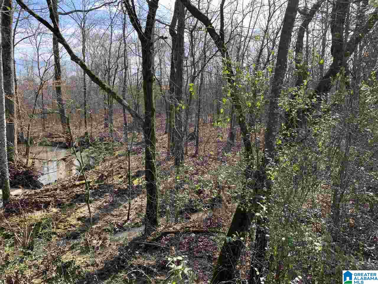 15-acres Crump Road, Unit 15 ACRES Steele, AL 35987 - Photo 9 of 9