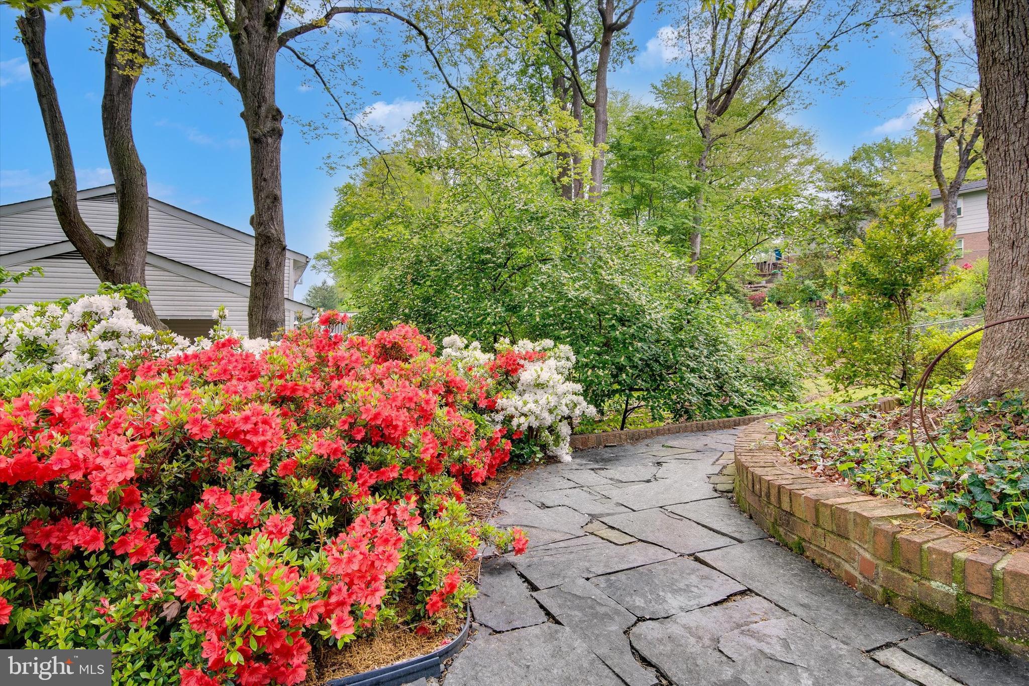 6915 Hadlow Drive Springfield, VA 22152 - Photo 38 of 43