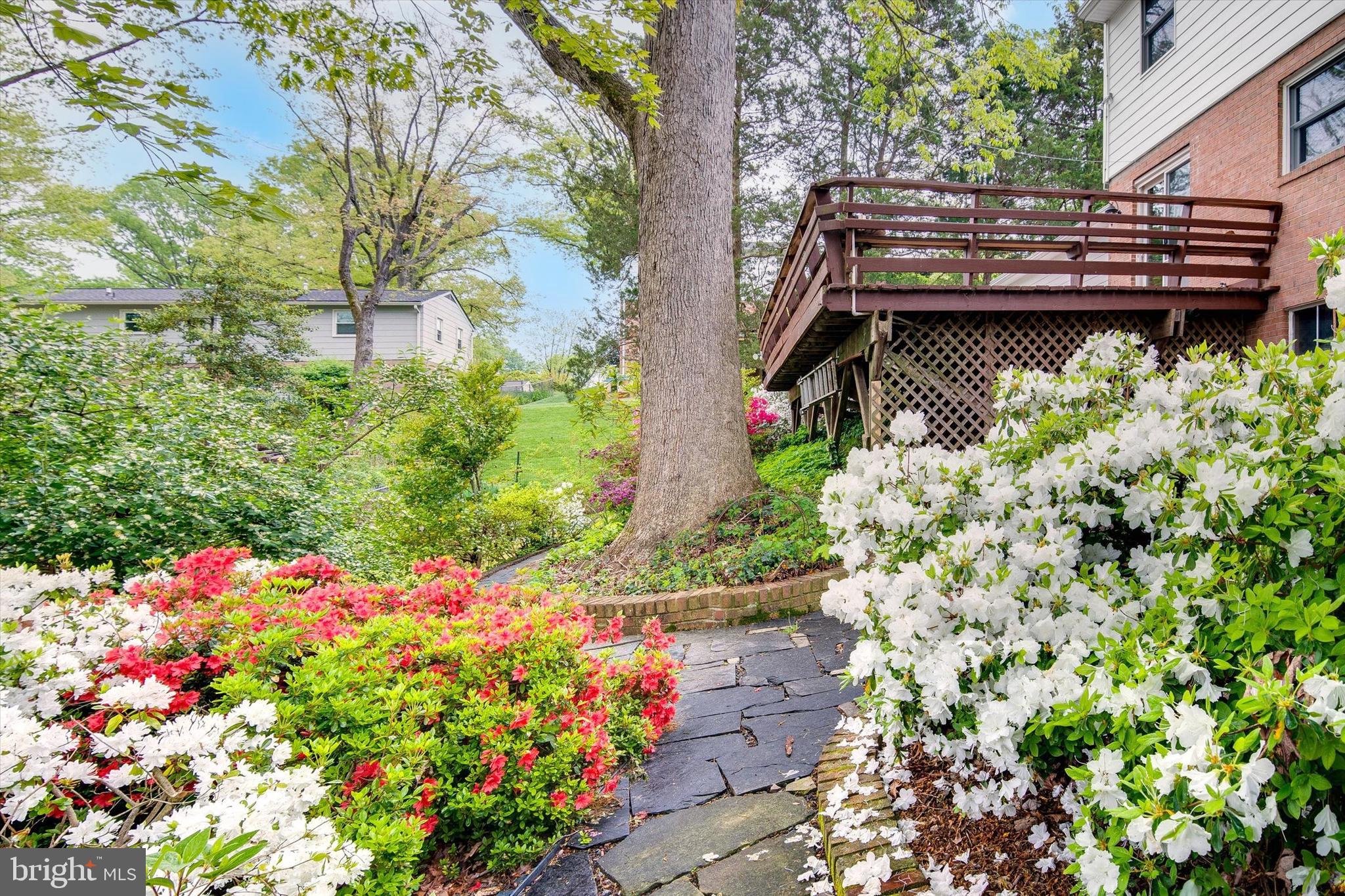 6915 Hadlow Drive Springfield, VA 22152 - Photo 39 of 43