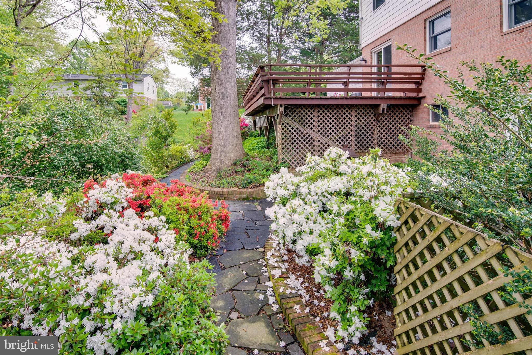 6915 Hadlow Drive Springfield, VA 22152 - Photo 41 of 43